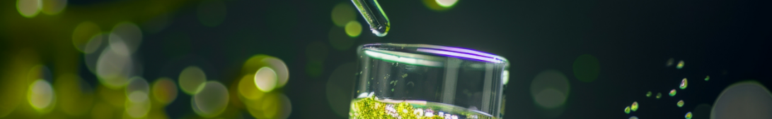 Monthly Promo banner