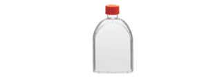 Cell Culture Flasks