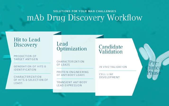 Key Visual Pharma mAb Drug Discovery Workflow