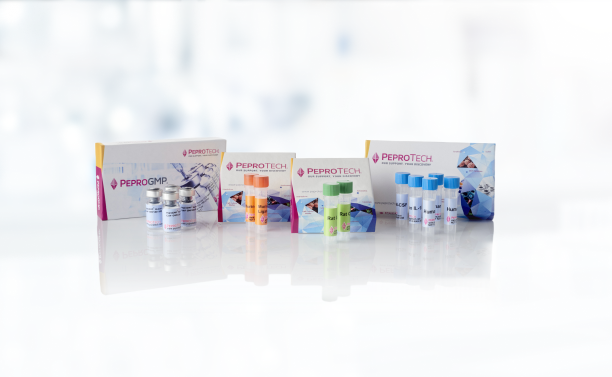 25242_Product_Showcase_Application_img_2